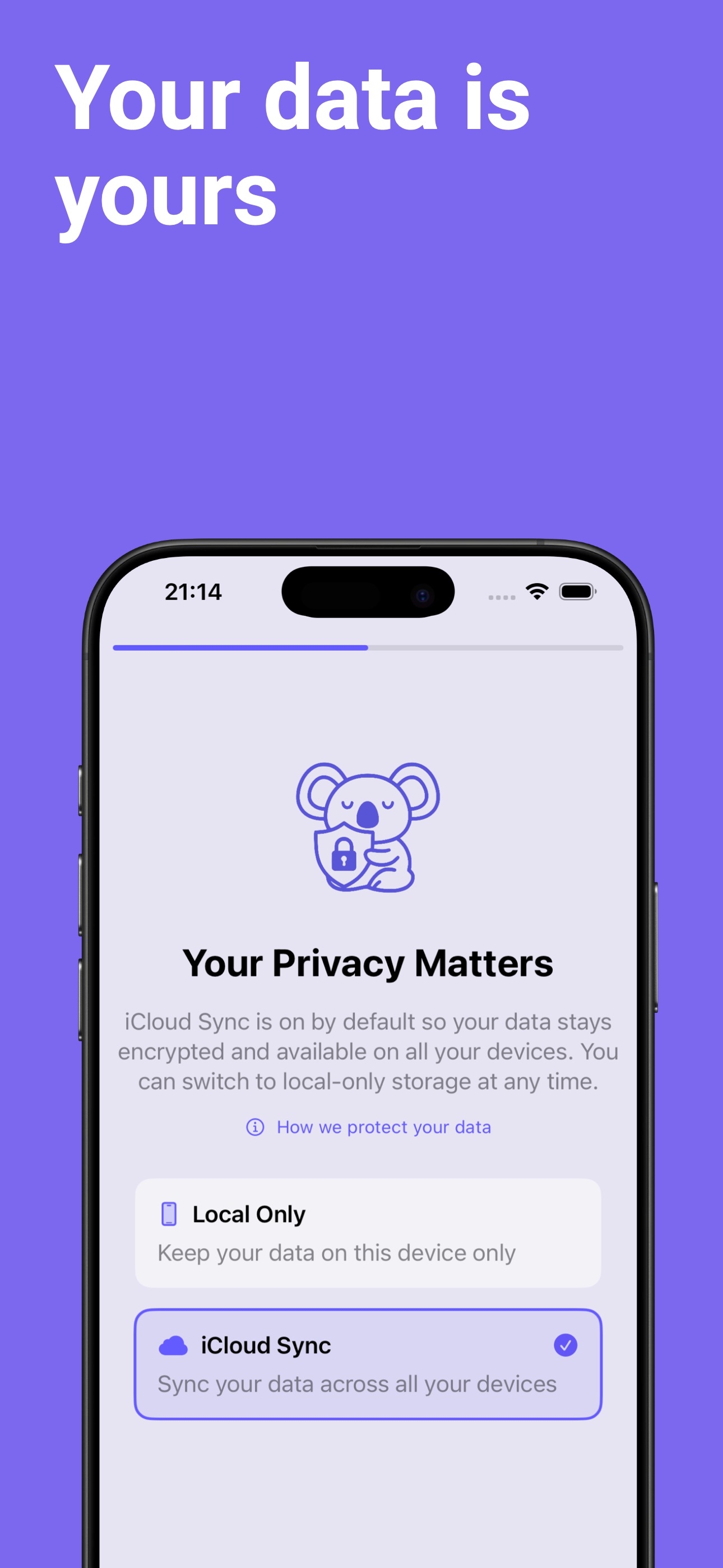 Example of a doctor-ready headache report