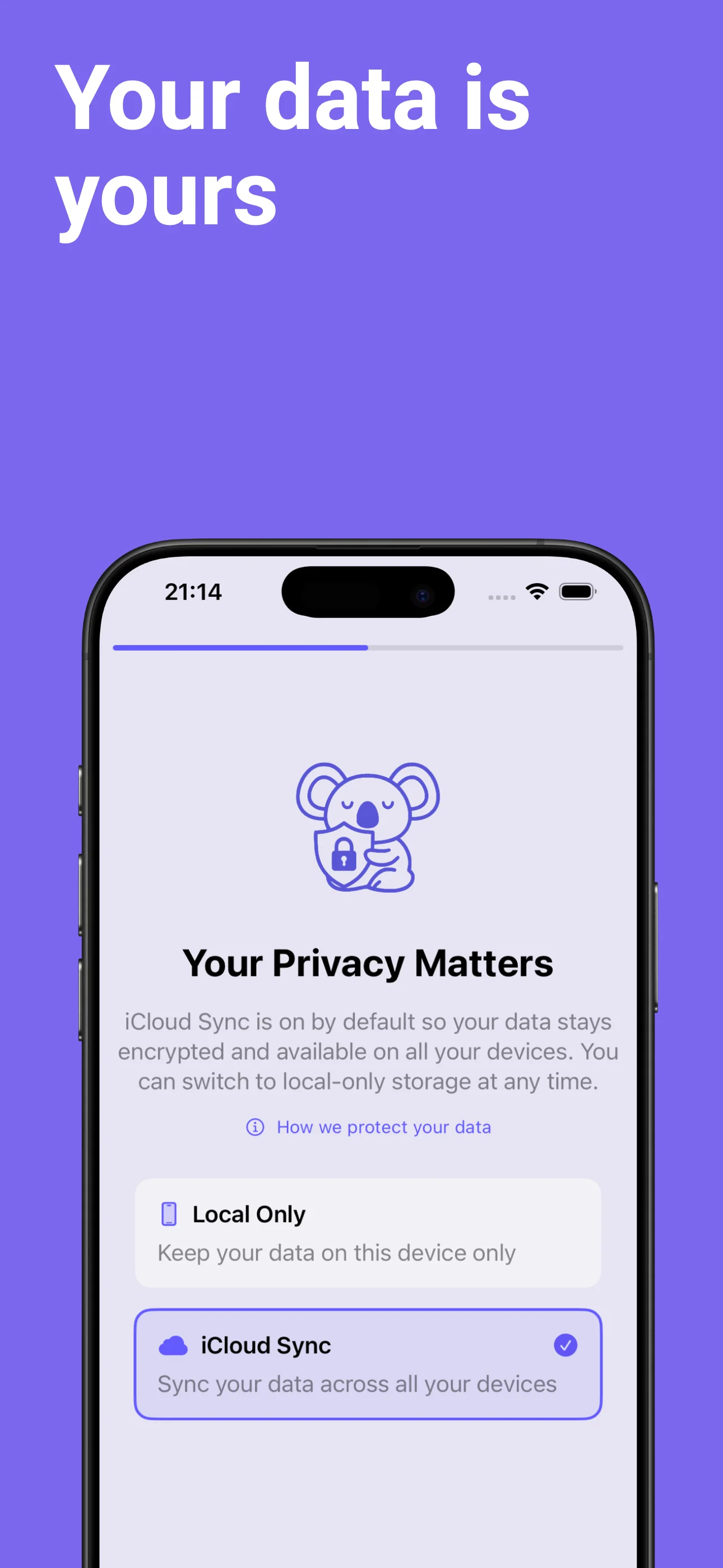 Example of a doctor-ready headache report